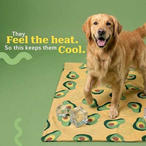 AvoChill | Cooling Mat with Gel Layer & Washable Cover