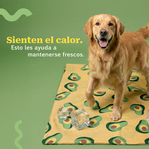AvoChill | Cooling Mat with Gel Layer & Washable Cover