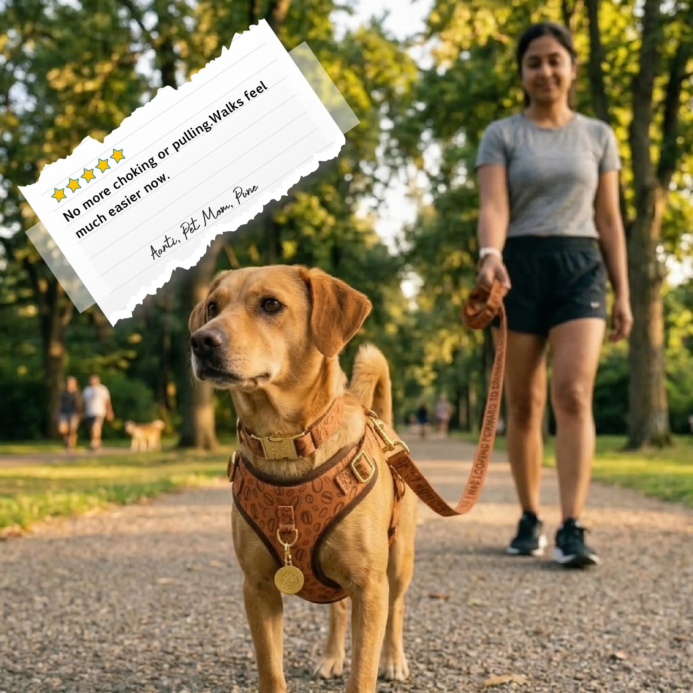 RouteCore Harness | No-Choke Harness, Collar & Leash for Steady Walks