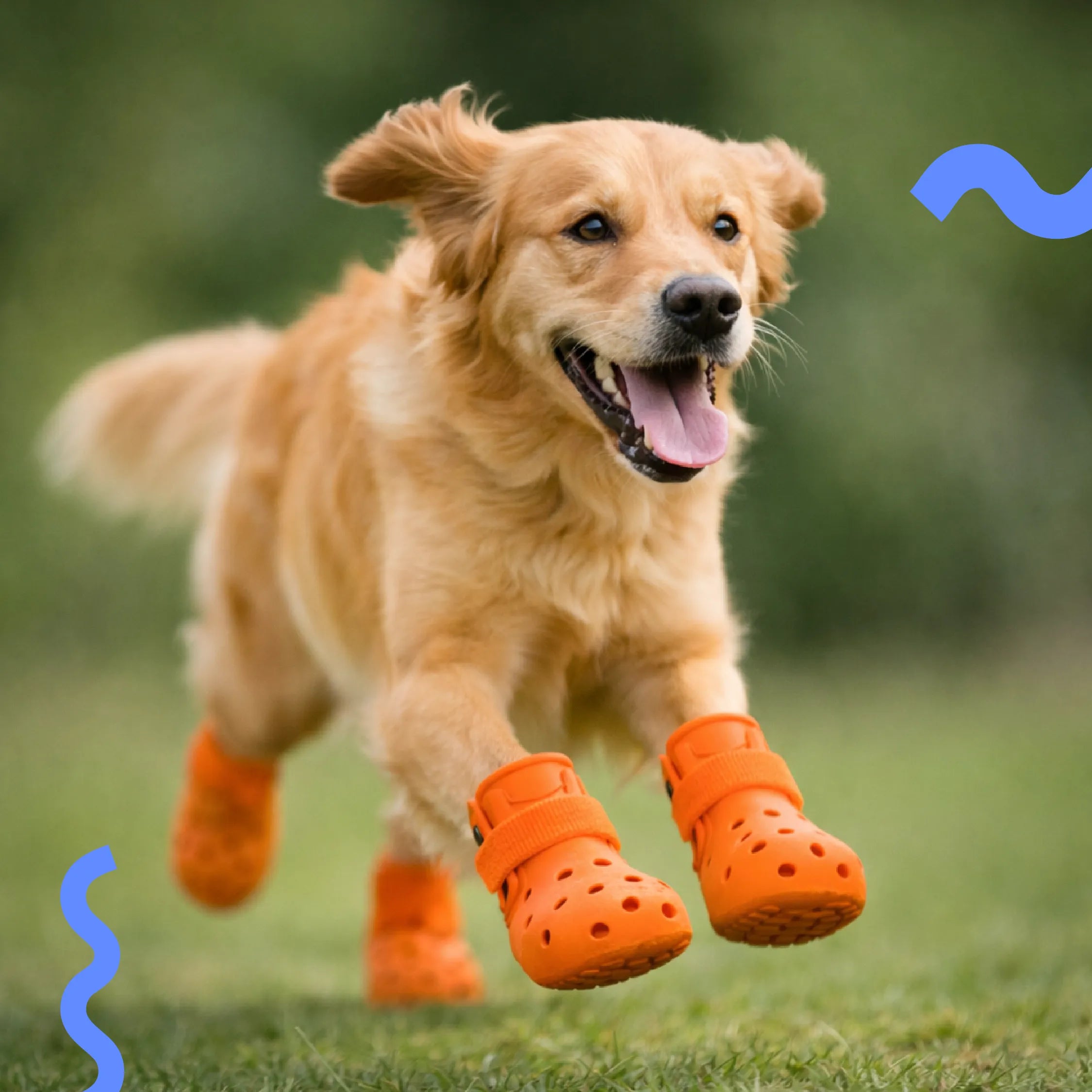 Crocster Boots – Breathable Silicone Paw Shoes for Dogs