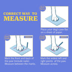 Crocster Boots – Breathable Silicone Paw Shoes for Dogs