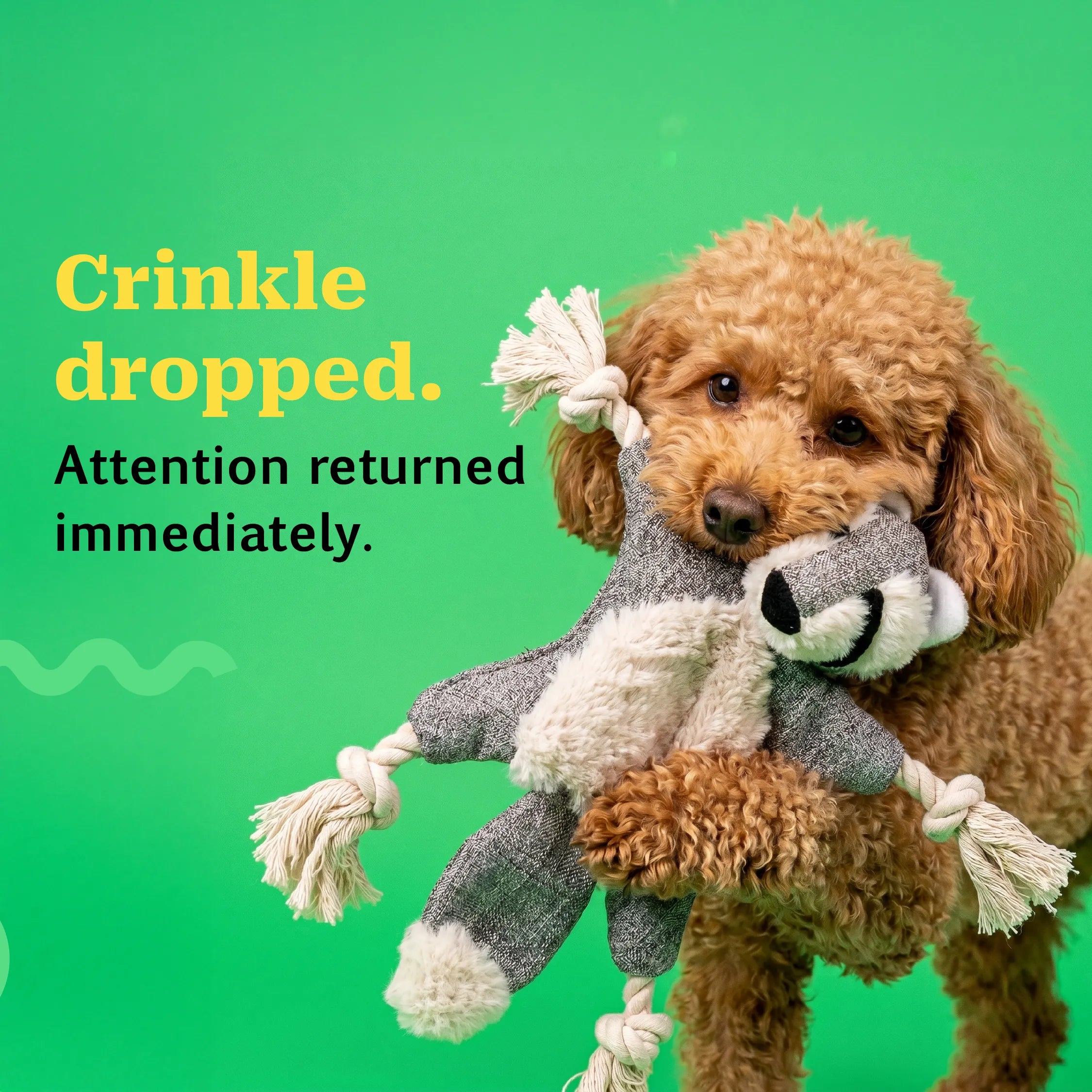 CrinkleCritter – Stuffless Crinkle Plush Toy with Rope Braid Limbs for Pets