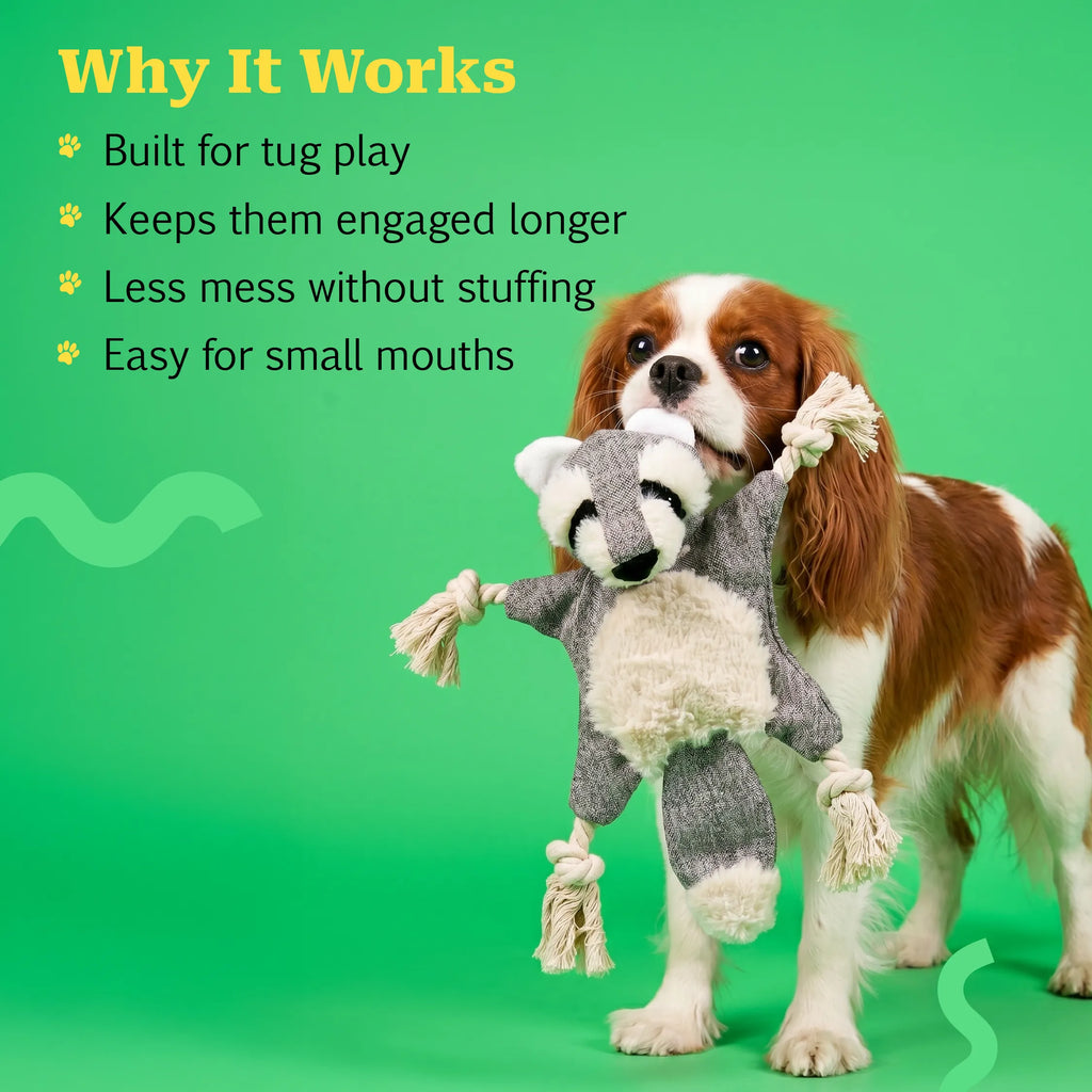 CrinkleCritter – Stuffless Crinkle Plush Toy with Rope Braid Limbs for Pets
