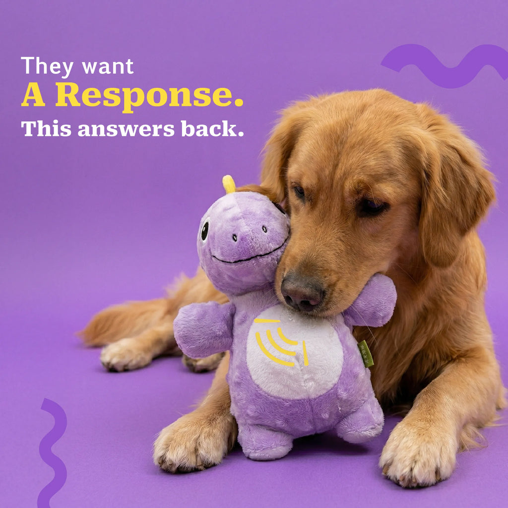 DinoSqueak | Interactive Squeaky Dog Toy. Built-in Squeak. Washable. Endless Play.