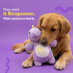 DinoSqueak | Interactive Squeaky Dog Toy. Built-in Squeak. Washable. Endless Play.