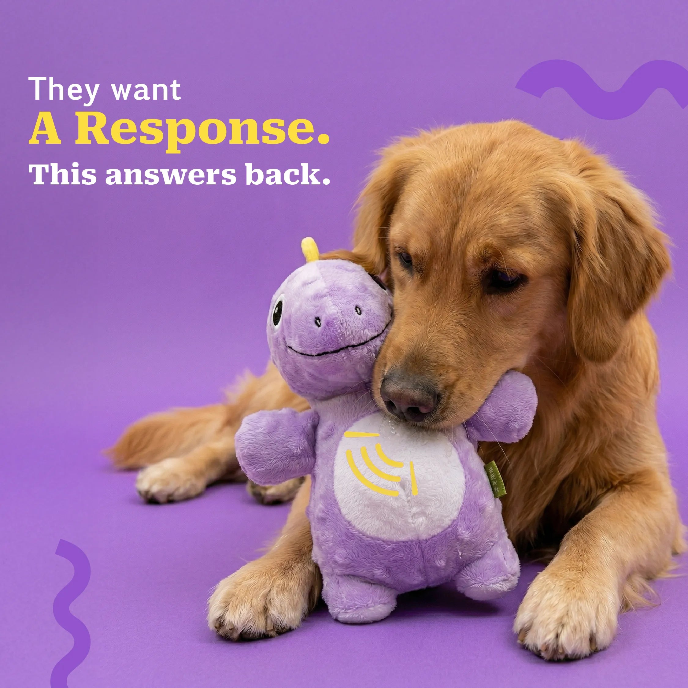 DinoSqueak | Interactive Squeaky Dog Toy. Built-in Squeak. Washable. Endless Play.