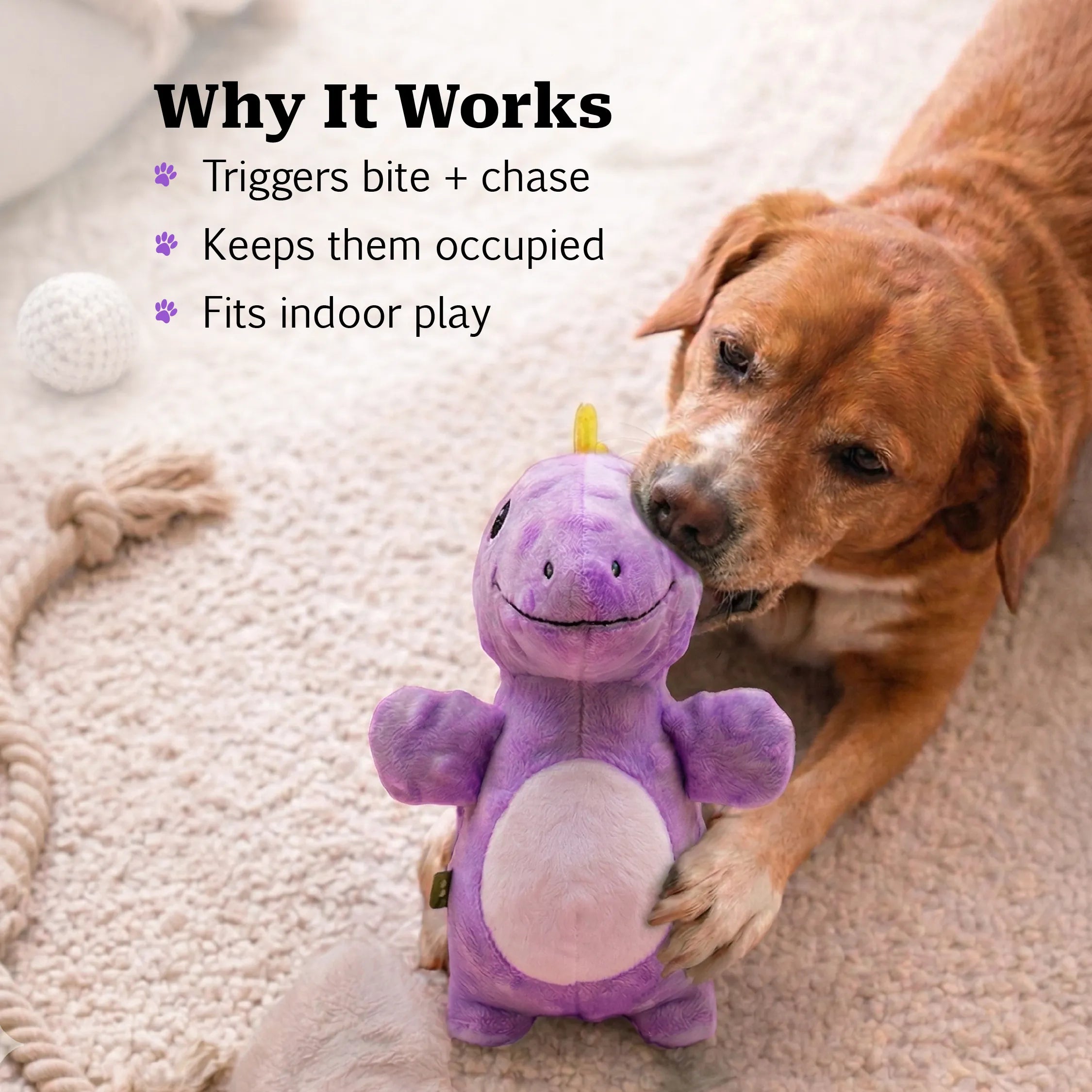 DinoSqueak | Interactive Squeaky Dog Toy. Built-in Squeak. Washable. Endless Play.