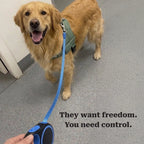 GlideSpan Leash | Retractable Leash for Controlled Freedom on Walks