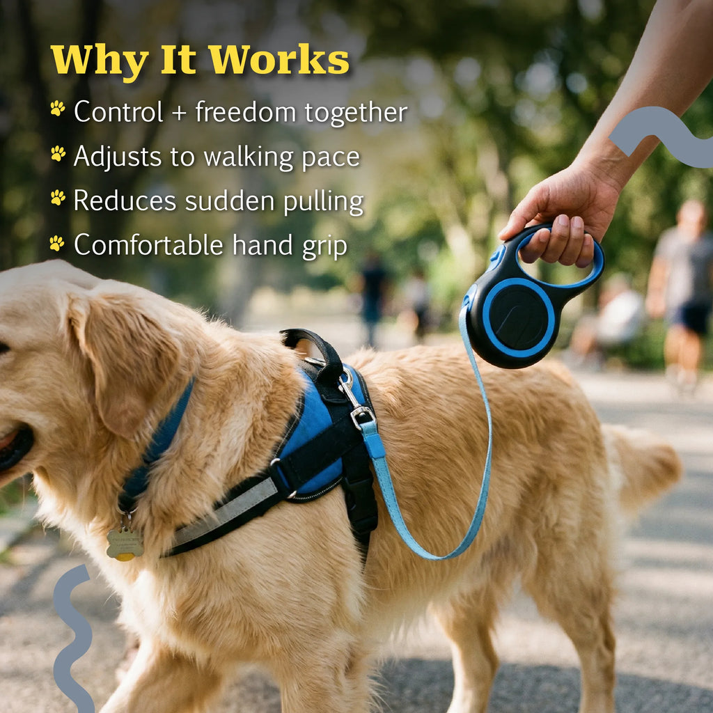 GlideSpan Leash | Retractable Leash for Controlled Freedom on Walks