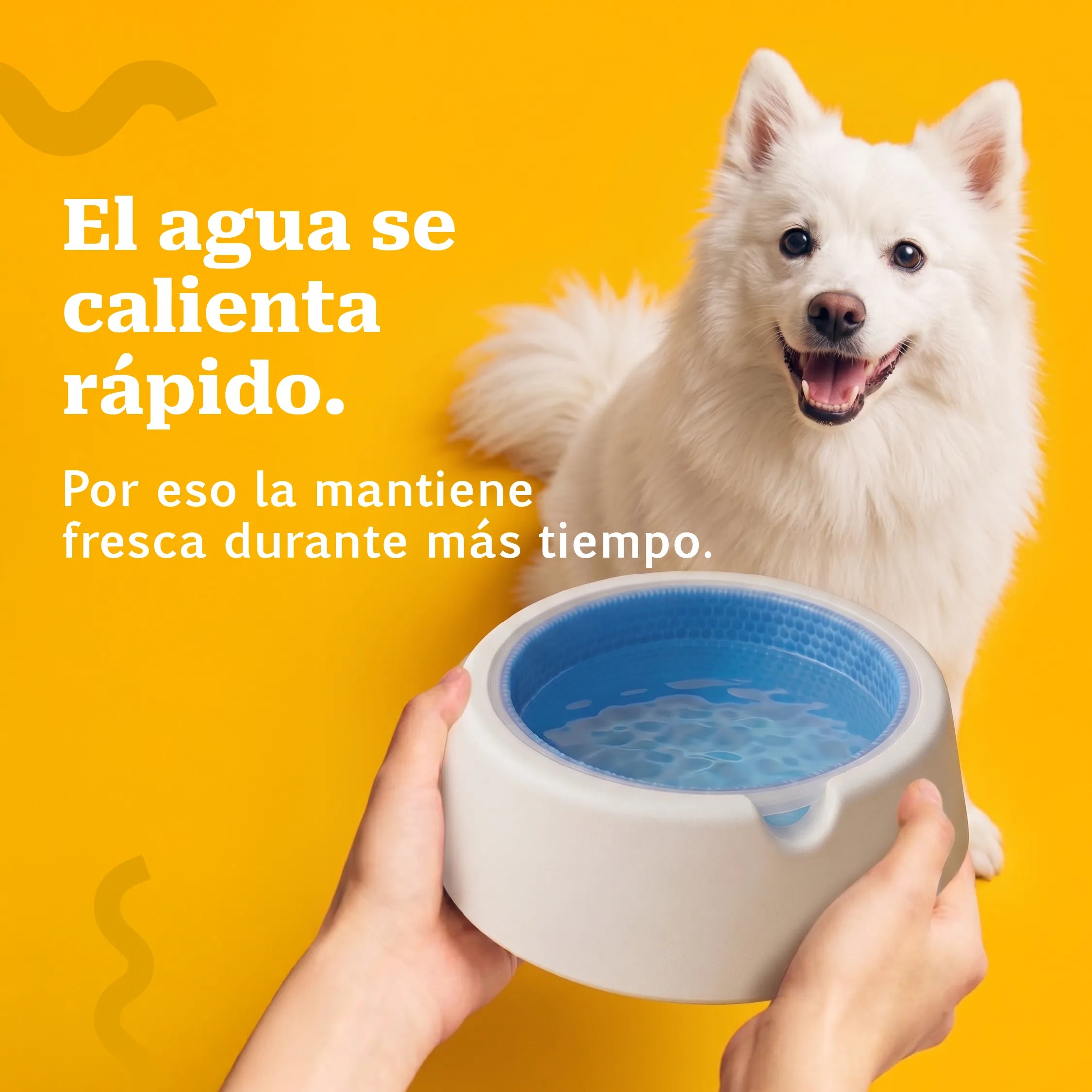 FrostSip Bowl | Freezable Water Bowl for Cooler Sips
