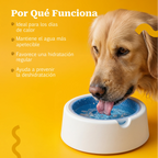 FrostSip Bowl | Freezable Water Bowl for Cooler Sips