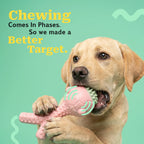GnawBloom | Teething Toy with Textured Top & Built-In Squeak