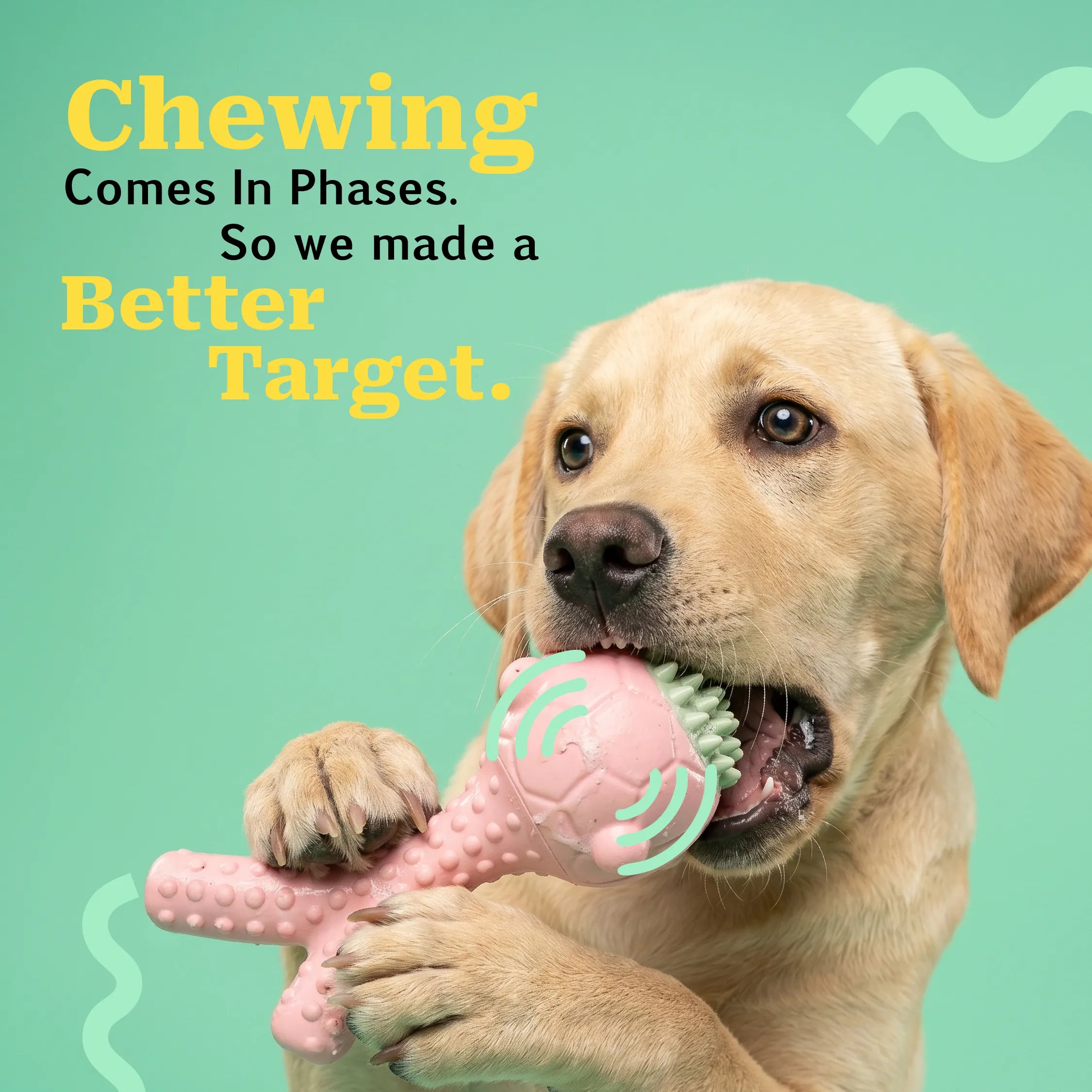 GnawBloom | Teething Toy with Textured Top & Built-In Squeak