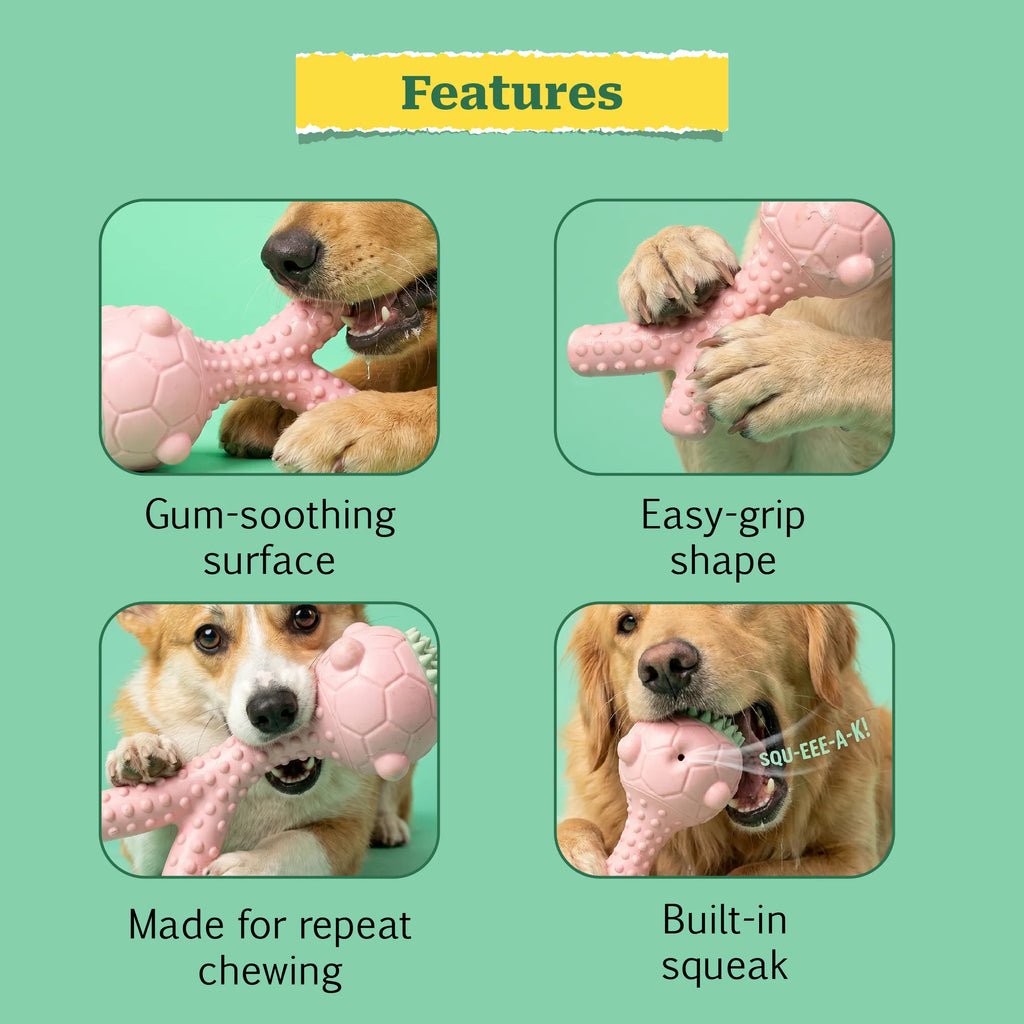 GnawBloom | Teething Toy with Textured Top & Built-In Squeak