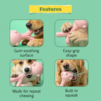 GnawBloom | Teething Toy with Textured Top & Built-In Squeak