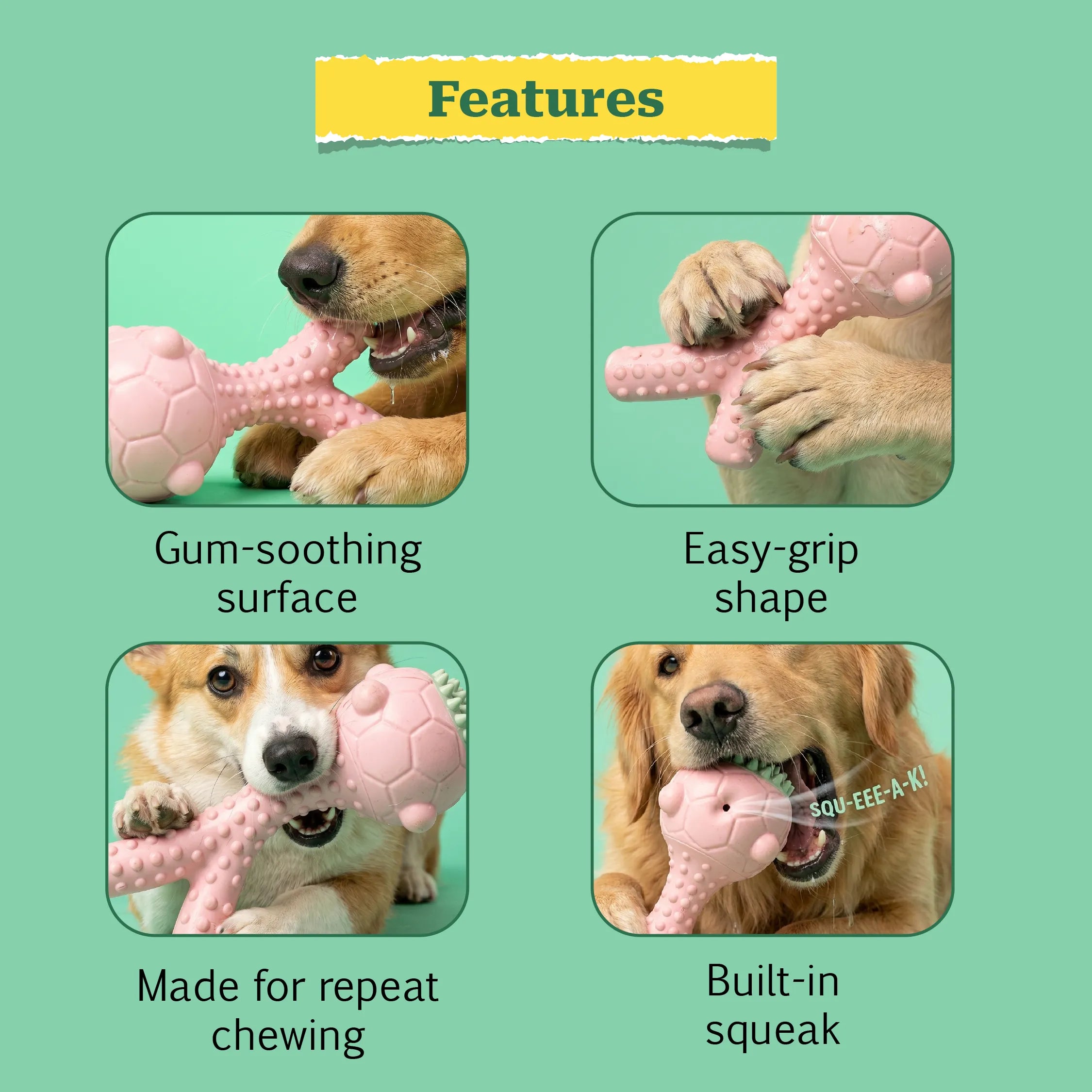GnawBloom | Teething Toy with Textured Top & Built-In Squeak