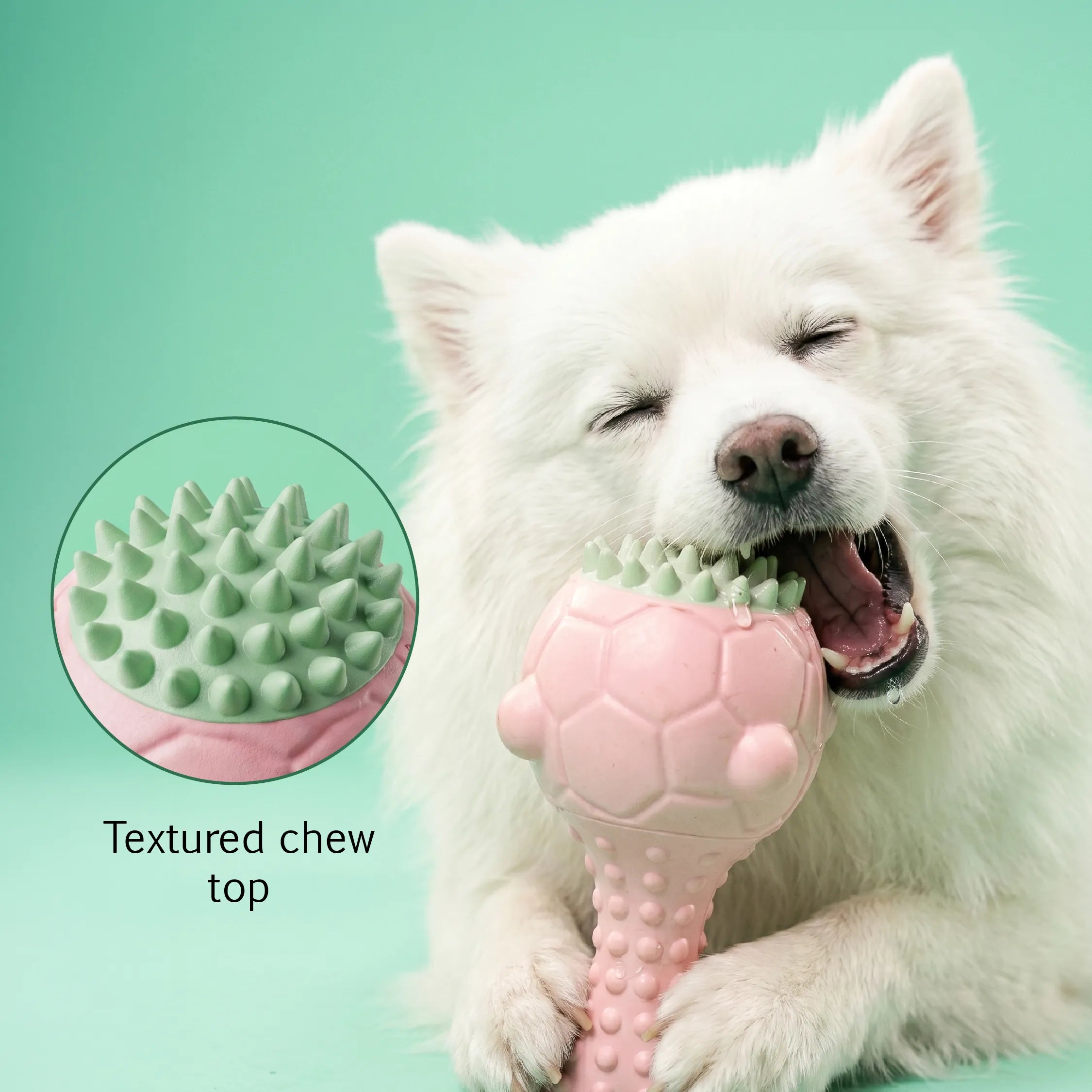 GnawBloom | Teething Toy with Textured Top & Built-In Squeak