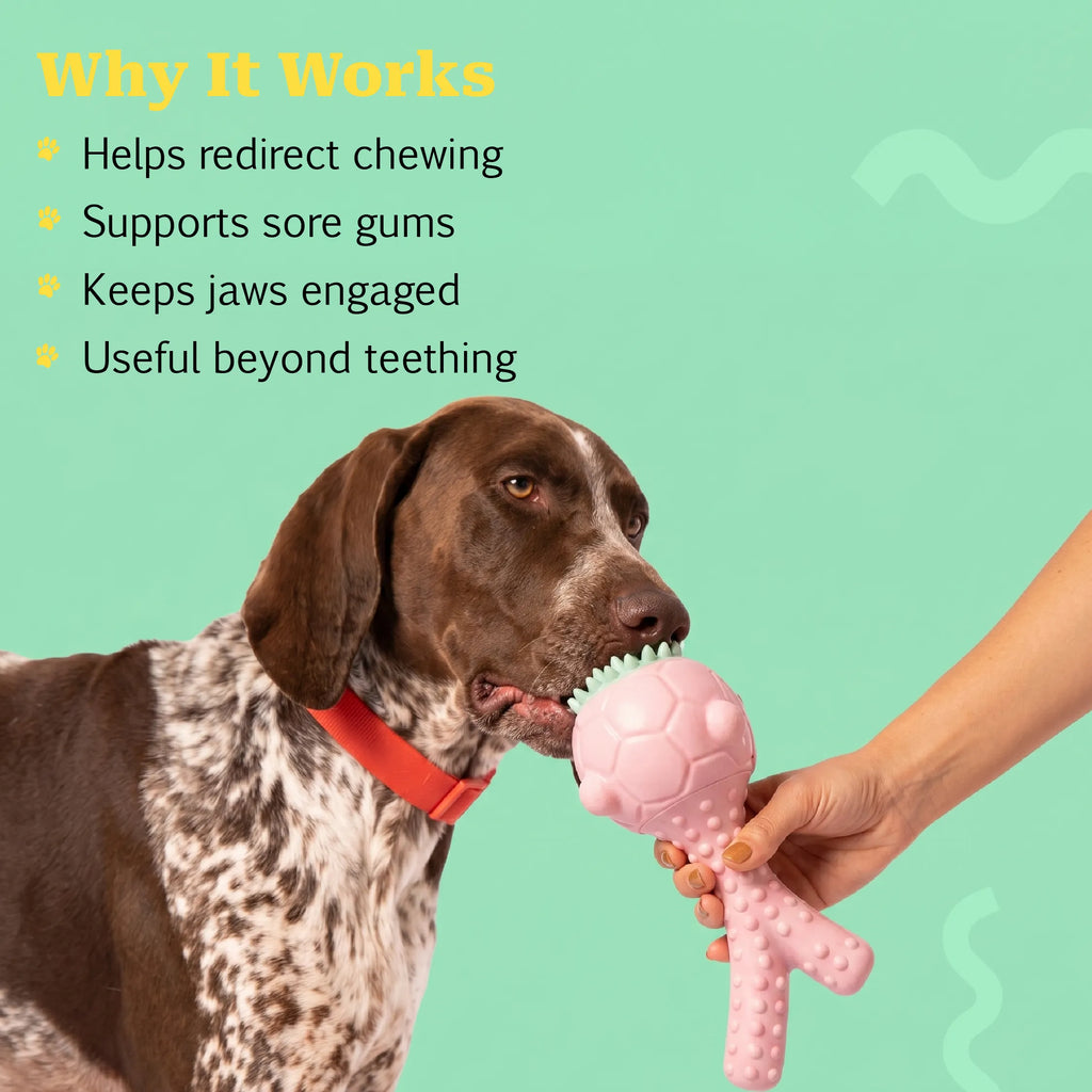 GnawBloom | Teething Toy with Textured Top & Built-In Squeak