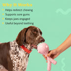 GnawBloom | Teething Toy with Textured Top & Built-In Squeak