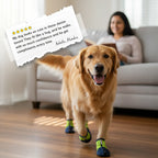 IndigoCore Pet Boots | Designed for Secure, Comfortable Walks