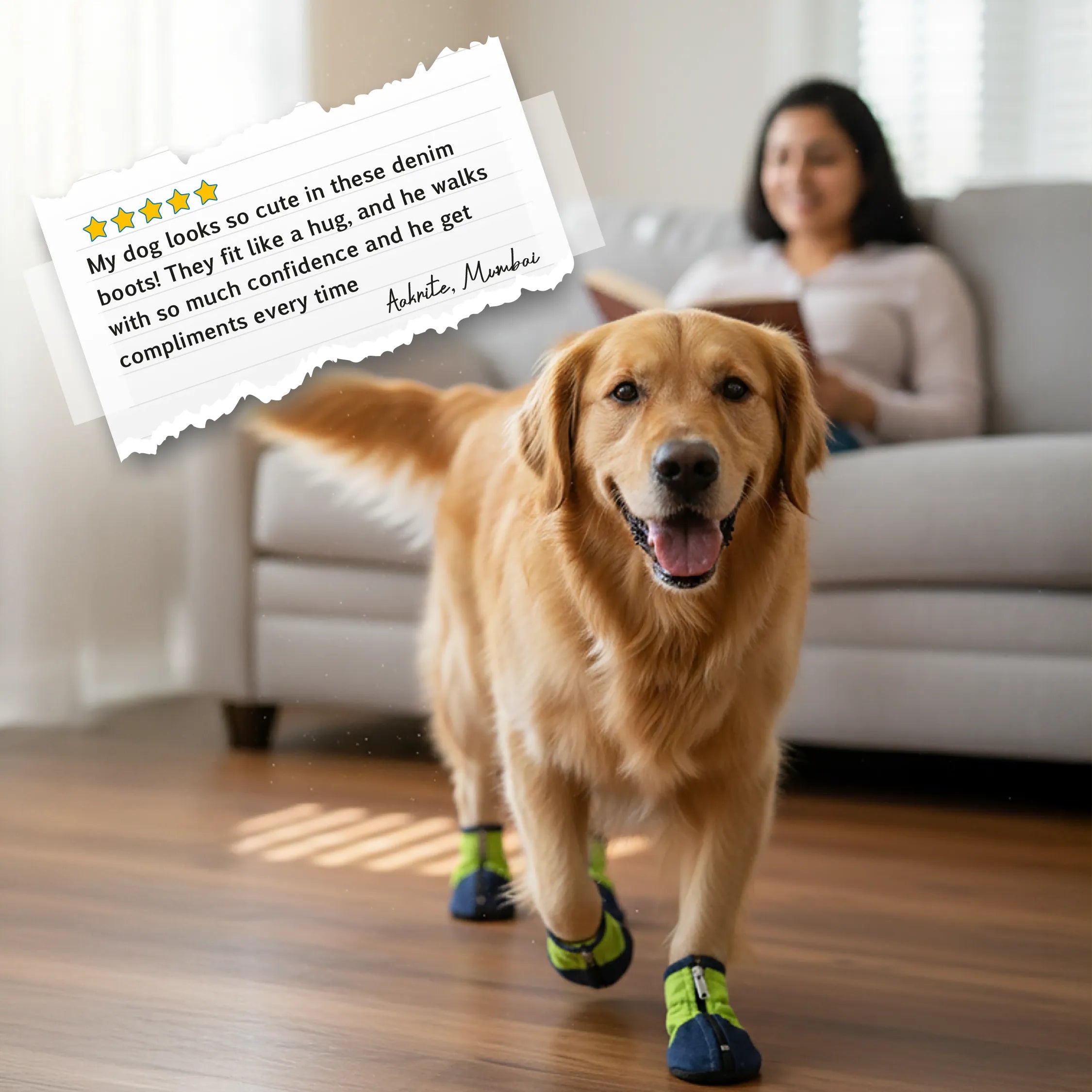 IndigoCore Pet Boots | Designed for Secure, Comfortable Walks