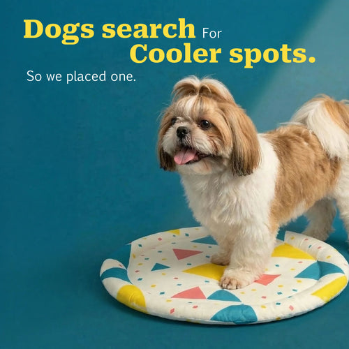 Magicool Bed | Self-Cooling Surface for Summer Naps