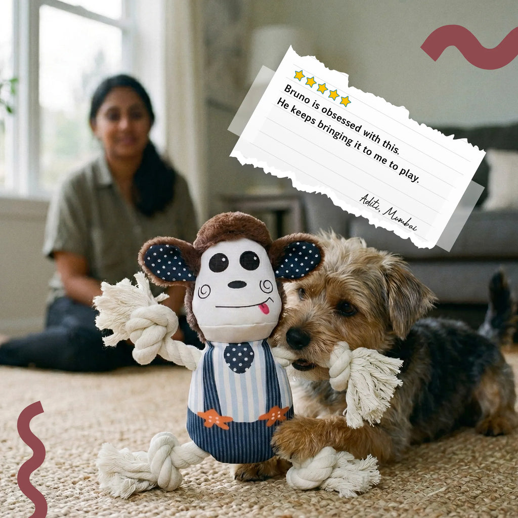 MonkeyMischief | Dual Play Toy for Chewing & Tugging