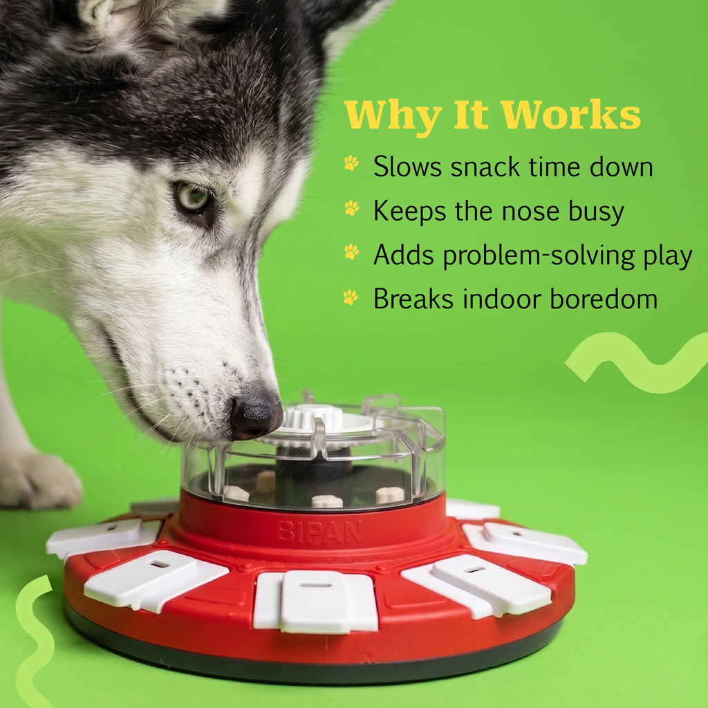 NibbleDock | Puzzle Toy with Sliding Covers & Treat Compartments