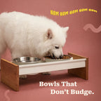 NomHold|Magnetic Pet Feeding Station Stable Bowls & Mess-Free Mealtime
