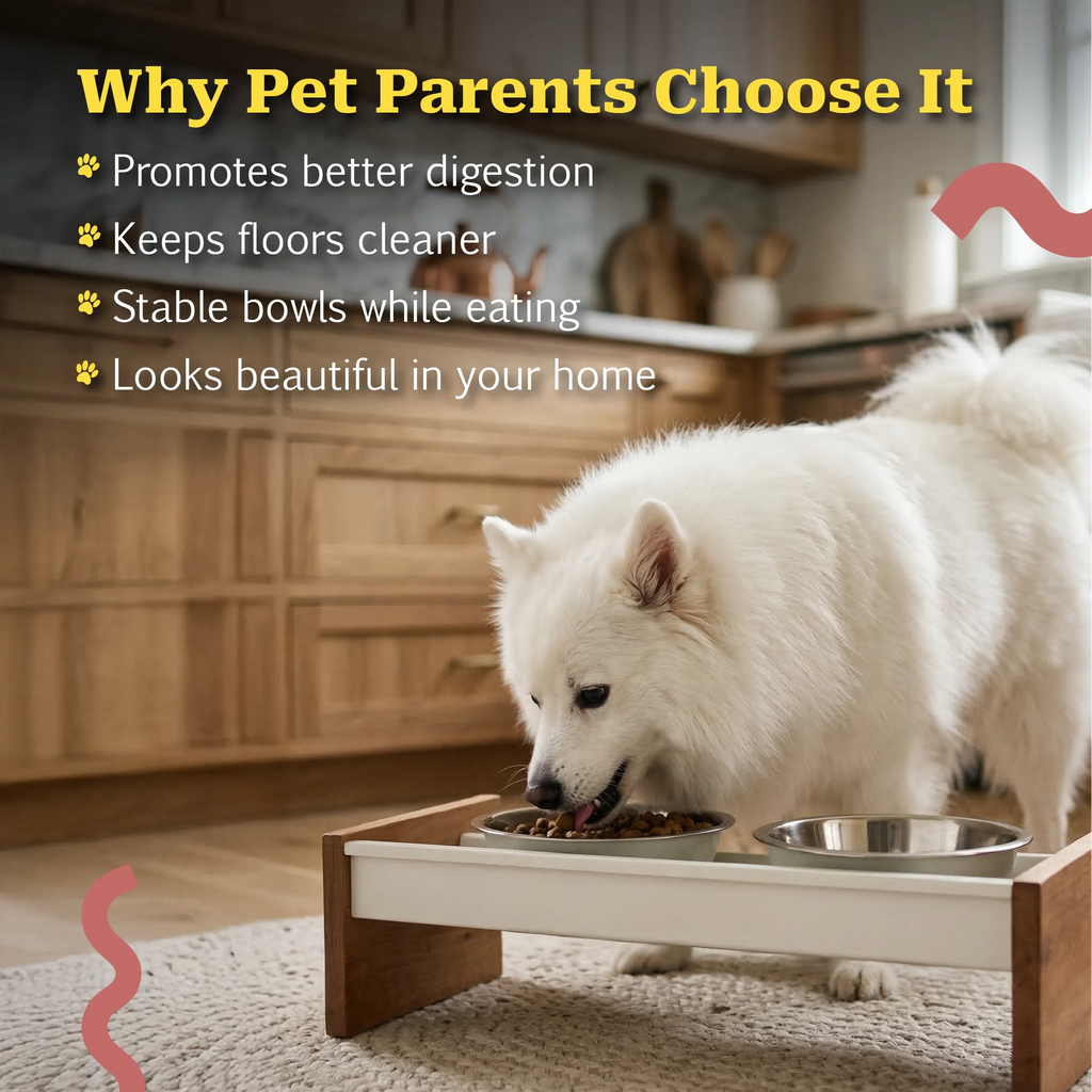 NomHold|Magnetic Pet Feeding Station Stable Bowls & Mess-Free Mealtime