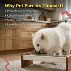 NomHold|Magnetic Pet Feeding Station Stable Bowls & Mess-Free Mealtime