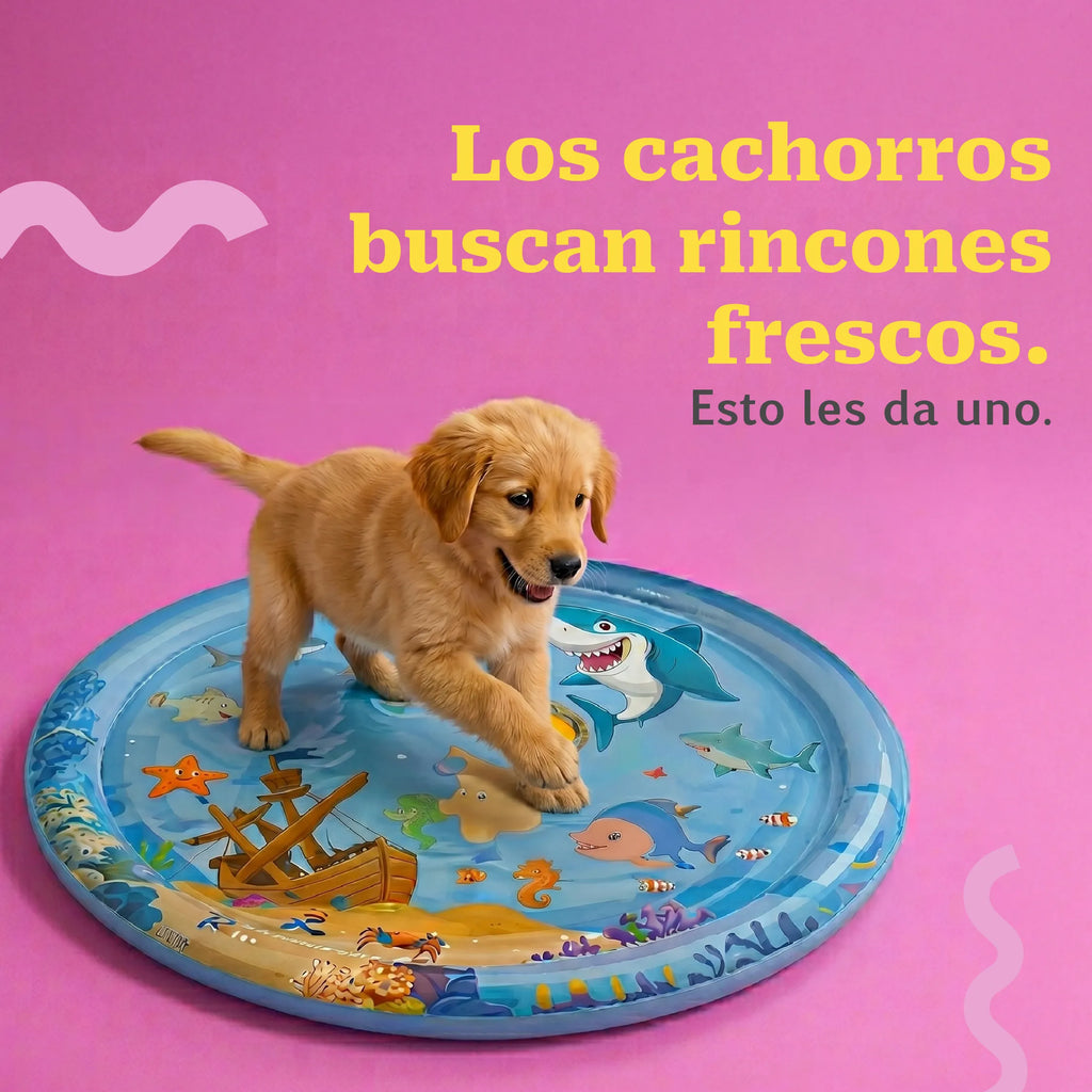 PuddleNap Bed | Water-Filled Cooling Lounge Bed with Floating Toy Layer for Puppies & Small Dogs