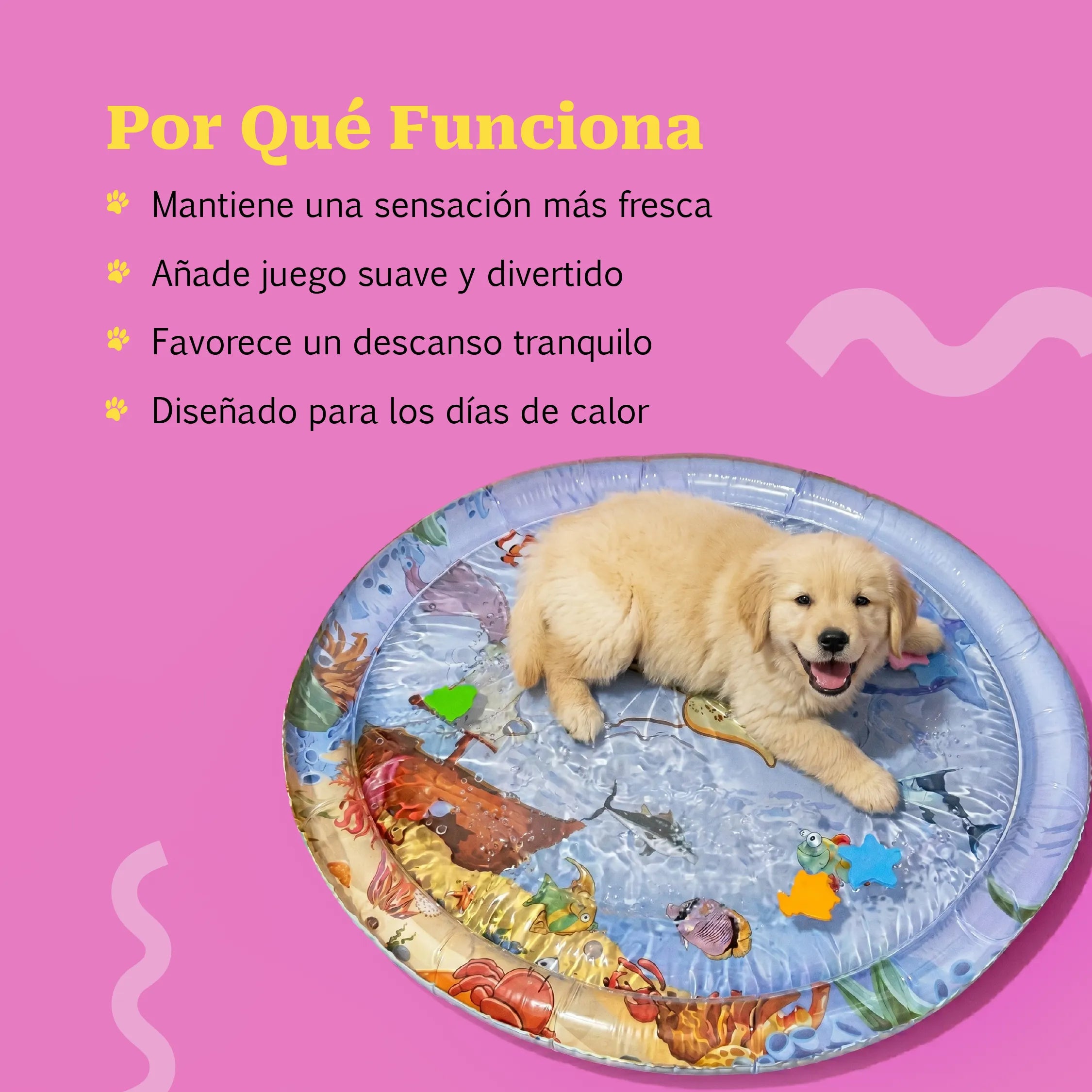 PuddleNap Bed | Water-Filled Cooling Lounge Bed with Floating Toy Layer for Puppies & Small Dogs