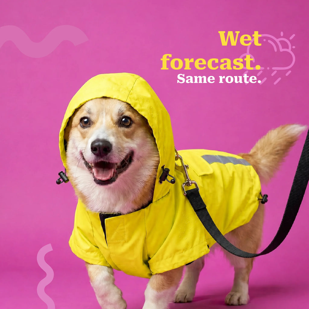 #yellow