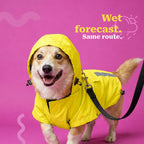 #yellow