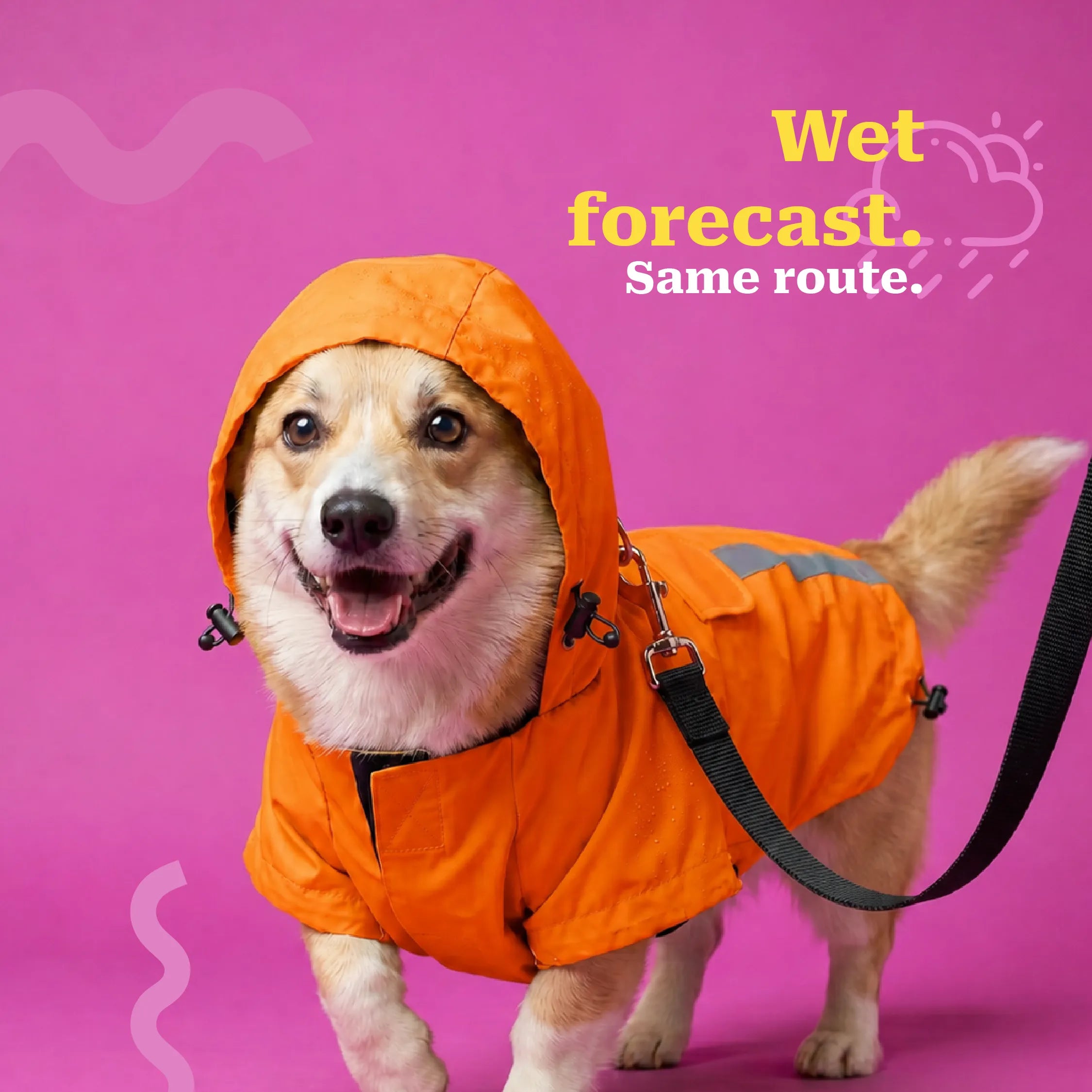 #orange
