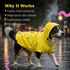 #yellow