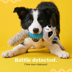 RattleRaccoon | Crinkle Squeaky Toy for Pet Play