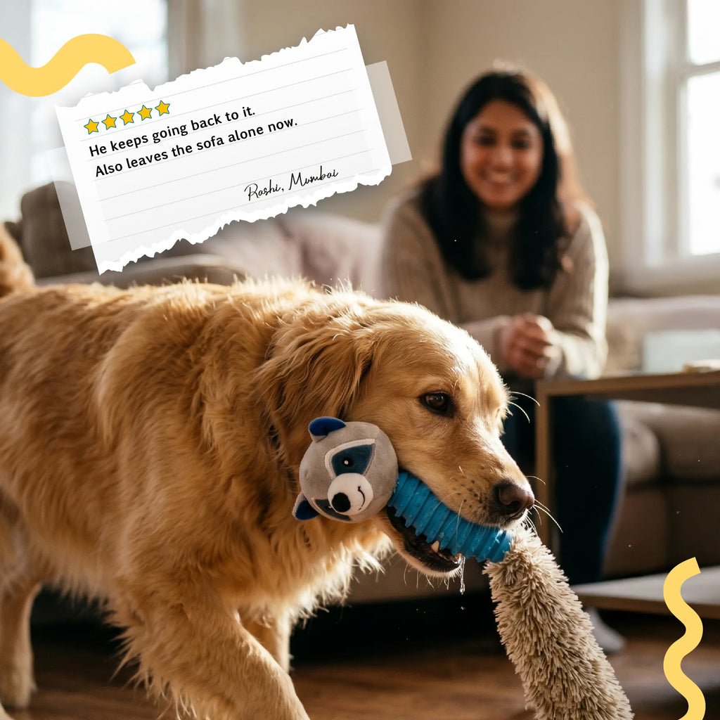 RattleRaccoon | Crinkle Squeaky Toy for Pet Play
