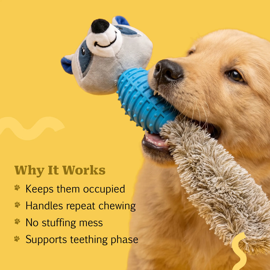 RattleRaccoon | Crinkle Squeaky Toy for Pet Play