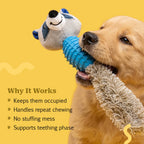 RattleRaccoon | Crinkle Squeaky Toy for Pet Play