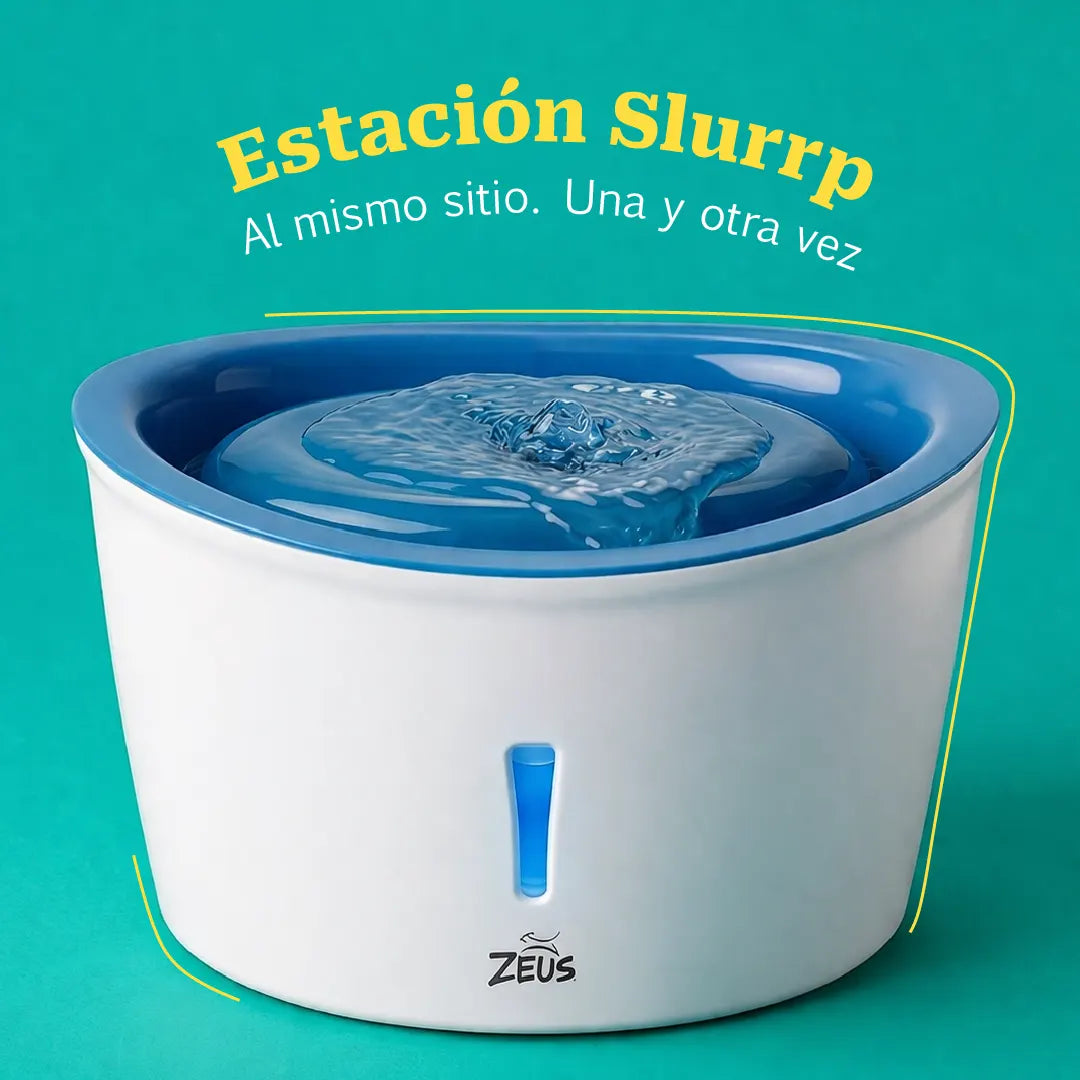 Slurrp Station | Flowing Water Bowl for Repeat Drinking and Fresh Hydration