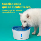 Slurrp Station | Flowing Water Bowl for Repeat Drinking and Fresh Hydration