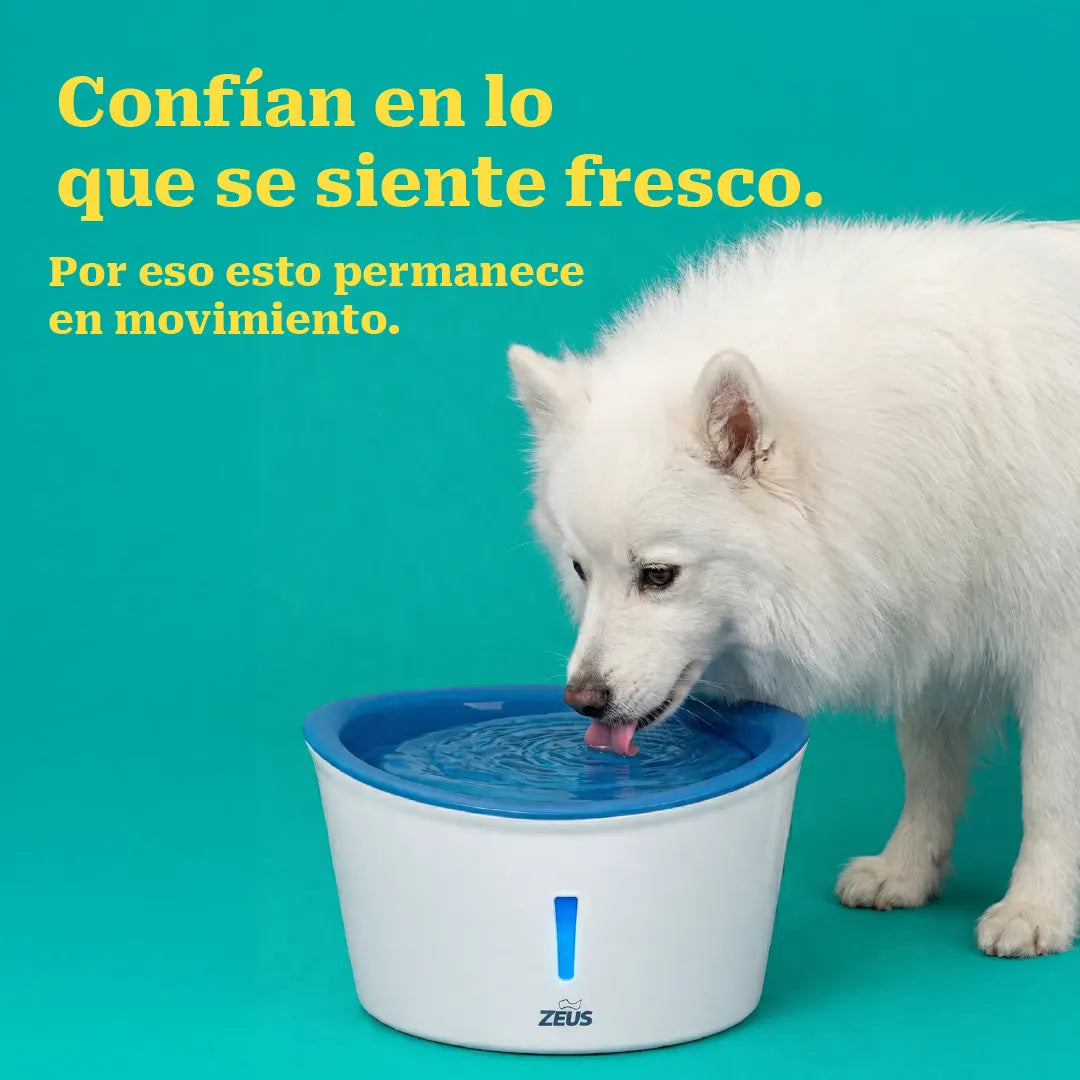 Slurrp Station | Flowing Water Bowl for Repeat Drinking and Fresh Hydration