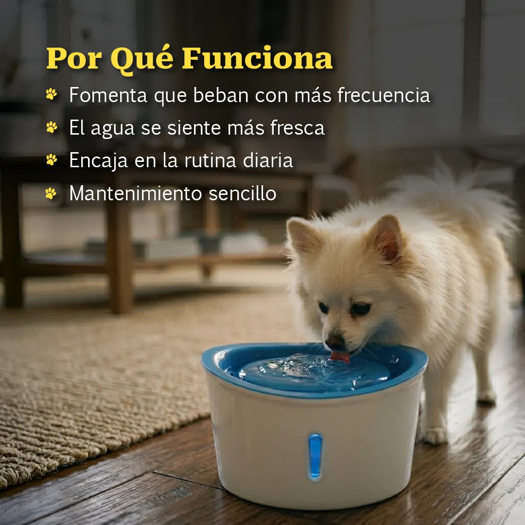 Slurrp Station | Flowing Water Bowl for Repeat Drinking and Fresh Hydration