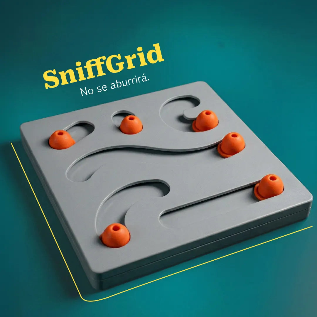 SniffGrid | Activity Grid for Sniffing, Sliding & Slow Feeding