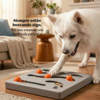 SniffGrid | Activity Grid for Sniffing, Sliding & Slow Feeding