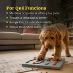 SniffGrid | Activity Grid for Sniffing, Sliding & Slow Feeding