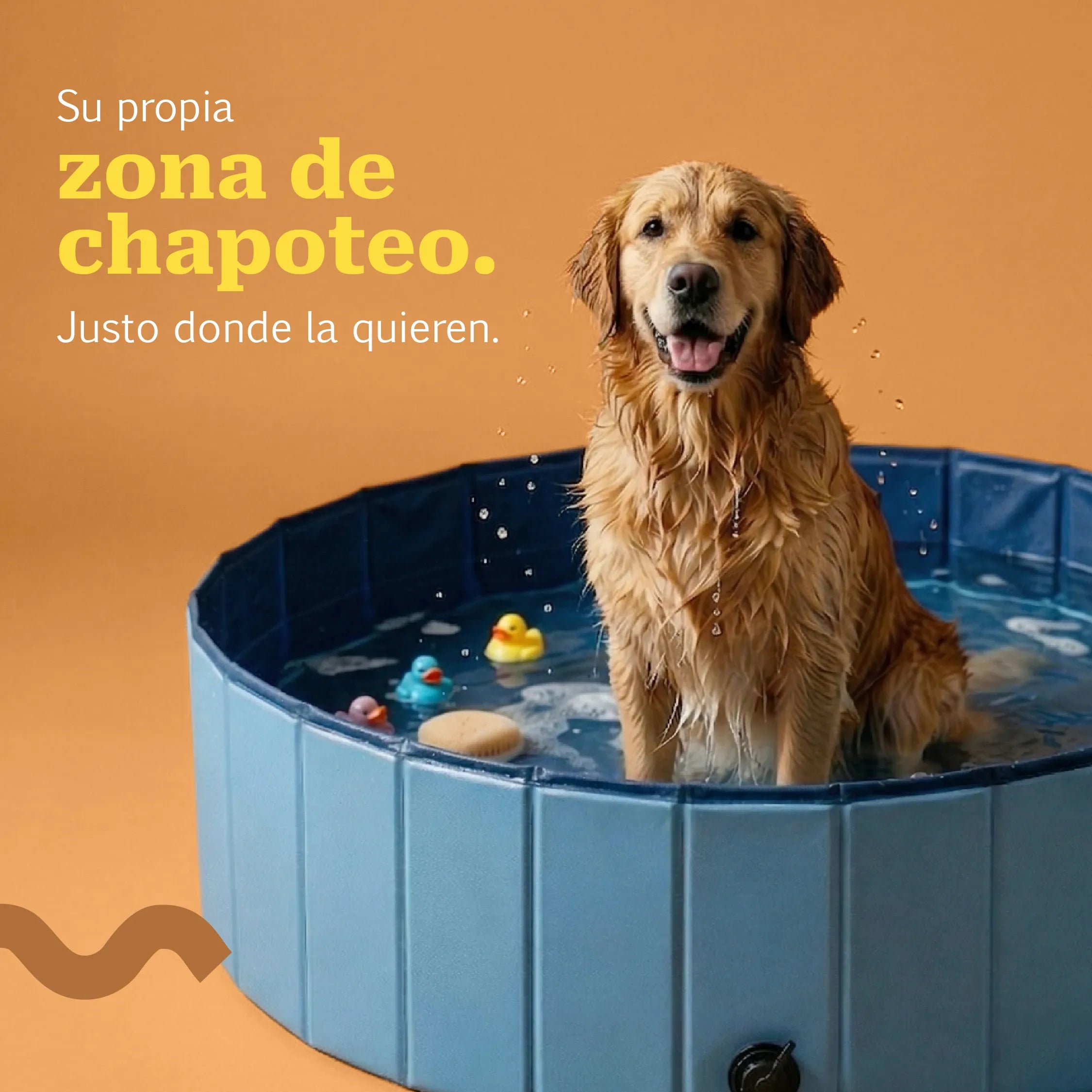 SplashLoop | Foldable Dog Pool. Holds Shape. Drains Easy. Stays Put.
