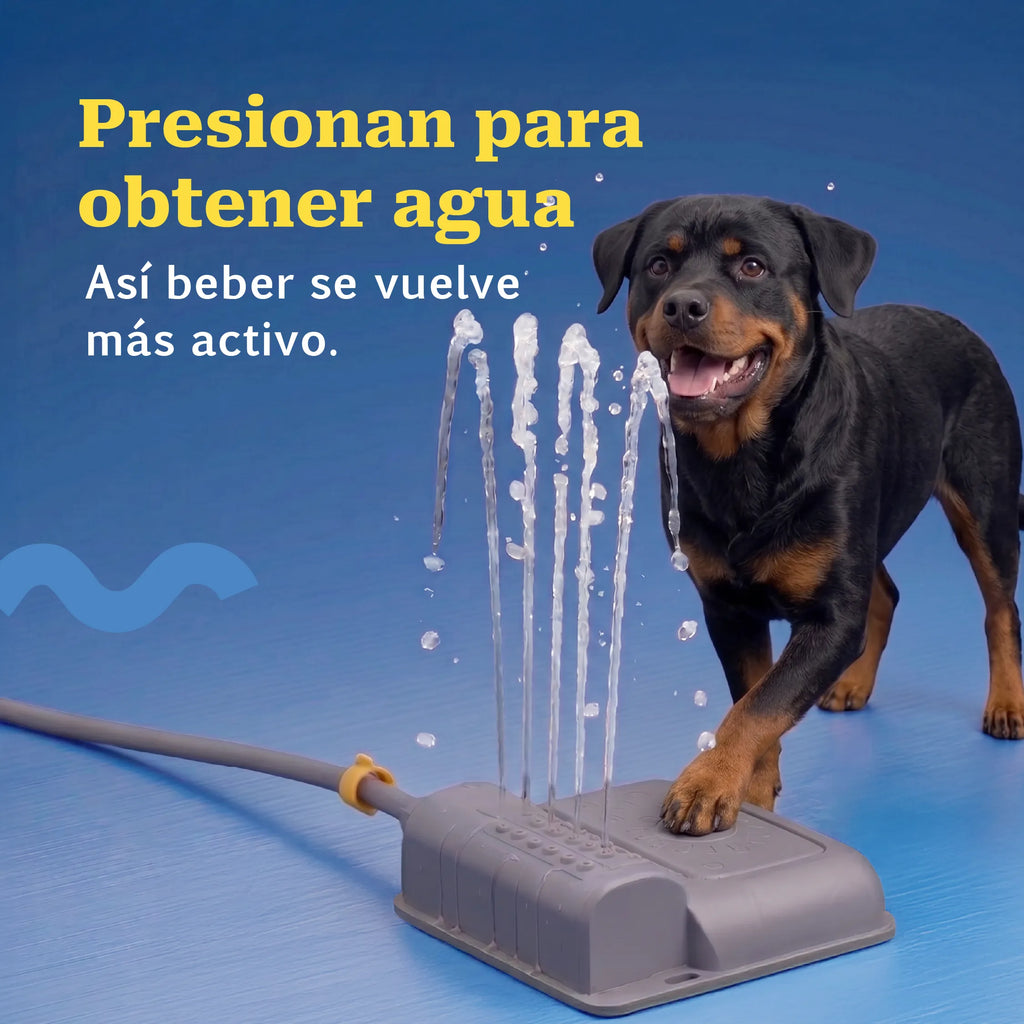 StepSpray Fountain – Paw-Activated Outdoor Water Fountain for Pets | Step-On Water